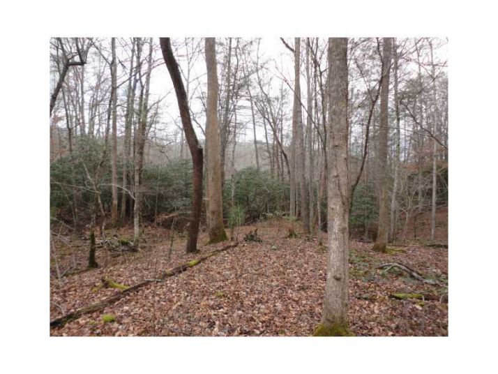 0 Grassy Knoll, Blairsville, GA 30512