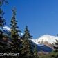 L6 Verbier Way, Girdwood, AK 99587 ID:5443604