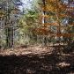 3141 Gulls Wharf Drive, Gainesville, GA 30501 ID:2539134