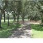 4405 Windlake Dr, Niceville, FL 32578 ID:671909