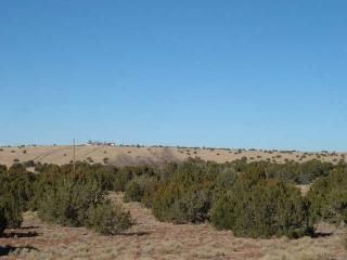 Unit 9 Lot 160, Concho, AZ 85924