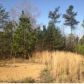 00 COUNTY RD 120, Crane Hill, AL 35053 ID:1381929