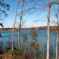 Lot 7 County Road 2021, Crane Hill, AL 35053 ID:1718539