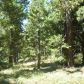 41694 Timber View Dr #11, Shaver Lake, CA 93664 ID:1968314