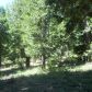 41694 Timber View Dr #11, Shaver Lake, CA 93664 ID:1968315