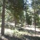 41694 Timber View Dr #11, Shaver Lake, CA 93664 ID:1968316