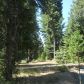 41694 Timber View Dr #11, Shaver Lake, CA 93664 ID:1968318