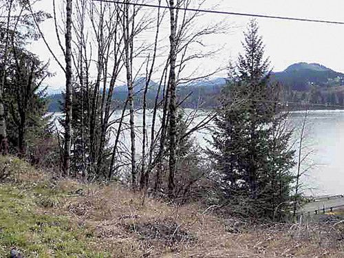 0 Jones Rd Lot 1400, Sweet Home, OR 97386