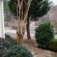 153 Ridgewood Drive, Waleska, GA 30183 ID:4800974