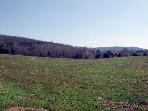 000 CASHDOLLAR COVE RD, Walling, TN 38587