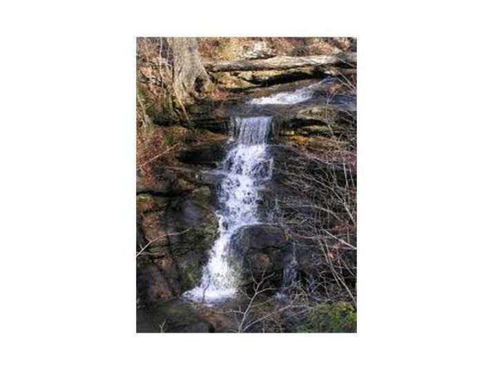 7024 Monument Falls, Jasper, GA 30143