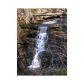 7024 Monument Falls, Jasper, GA 30143 ID:4202764