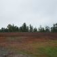 0 Stover Road, Cleveland, GA 30528 ID:3875354