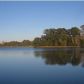 40 JOSIE RIDGE RD, Wadmalaw Island, SC 29487 ID:1091516