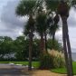 2980 HAINES BAYSHORE RD, Clearwater, FL 33760 ID:1059645