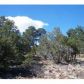 81 ACR 8092, Concho, AZ 85924 ID:3229646