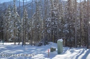 L23 B5 Yellowstone Drive, Eagle River, AK 99577