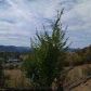 705 S Savoy Ct, , OR 97471 ID:872873