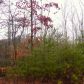 43 Arrow Wood Lane, Waleska, GA 30183 ID:3364833