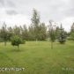 9791 E Puffin Drive, Palmer, AK 99645 ID:1513029