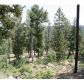 12838 Piano Meadows Drive, Conifer, CO 80433 ID:4226347