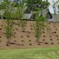 418 Parkstone Drive, Woodstock, GA 30188 ID:3006422