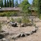 22045 Buena Vista Drive, Bella Vista, CA 96008 ID:729870