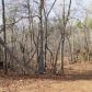 0 Holly Springs Road, Toccoa, GA 30577 ID:6046892