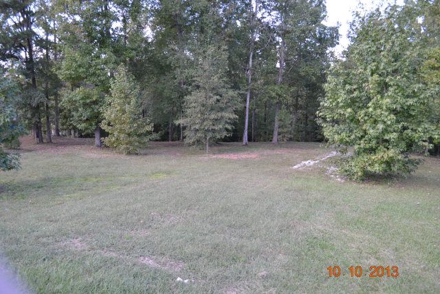 Lot 43 ISLAND CREEK DR, Seale, AL 36875