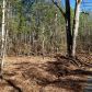 5 Soap Creek Road, Ball Ground, GA 30107 ID:3011704