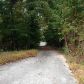 818 Wild Azalea Trail, Waleska, GA 30183 ID:1517315