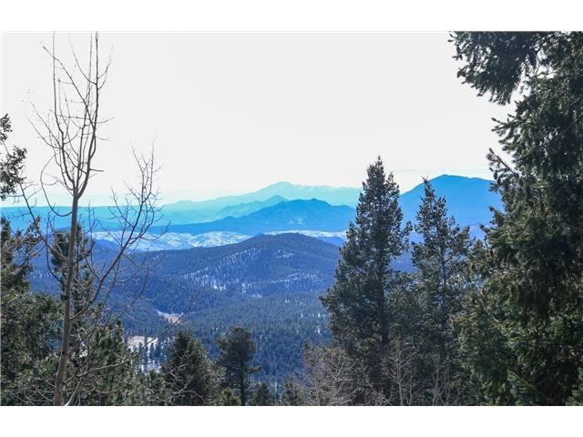 11783 Braun Way, Conifer, CO 80433