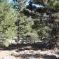 4 Twin Lakes Drive 17 Matterhorn, Bridgeport, CA 93517 ID:1140368