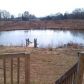 2961 Quakenbush Rd, Snow Camp, NC 27349 ID:6184521