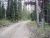 (tbd) USFS Road #490 Clark, CO 80428