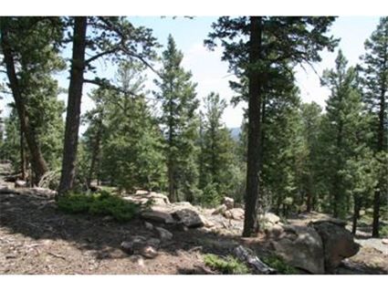 23953 Peak Drive, Conifer, CO 80433