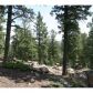 23953 Peak Drive, Conifer, CO 80433 ID:4226353