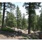 23953 Peak Drive, Conifer, CO 80433 ID:4226357