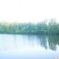 MARSH MOUNTAIN RD 223 AC, Pinson, AL 35126 ID:6445634