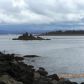 15385 Lakeside Dr, Rockaway Beach, OR 97136 ID:873020