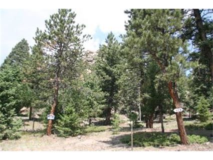 24143 Peak Drive, Conifer, CO 80433