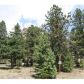 24143 Peak Drive, Conifer, CO 80433 ID:4226382