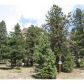 24143 Peak Drive, Conifer, CO 80433 ID:4226386