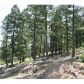 12808 Piano Meadows Drive, Conifer, CO 80433 ID:4226378