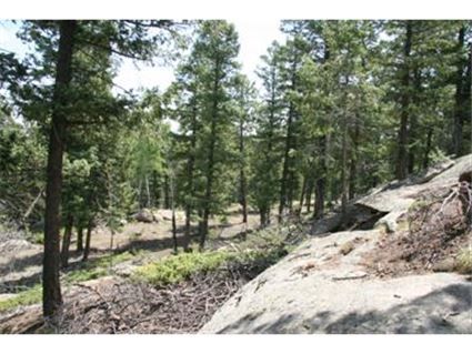 24013 Peak Drive, Conifer, CO 80433