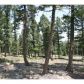 24013 Peak Drive, Conifer, CO 80433 ID:4226368