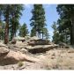 24013 Peak Drive, Conifer, CO 80433 ID:4226370