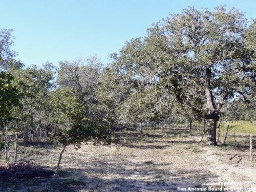 111 ACRES Wishing Star Ln, Seguin, TX 78155