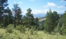 6 Pine Valley Road Pine, CO 80470