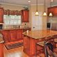 1629 Hickory Woods Way, Marietta, GA 30066 ID:2603082